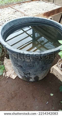 plastic bucket filled with water for watering vegetable seeds