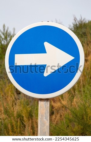 One Way Traffic Sign in Nature