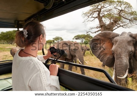 Woman tourist on a safari in Africa, traveling by car with an open roof in Kenya and Tanzania, watching elephants in the savannah. Tarangire National Park. Royalty-Free Stock Photo #2254350165