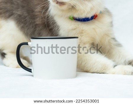 A blank white enamel mug with a cat resting behind showing only its body, enamel mug mockup image