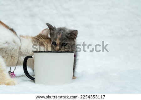 An enamel mug featuring a two cat doing something behind it, enamel mug mockup image