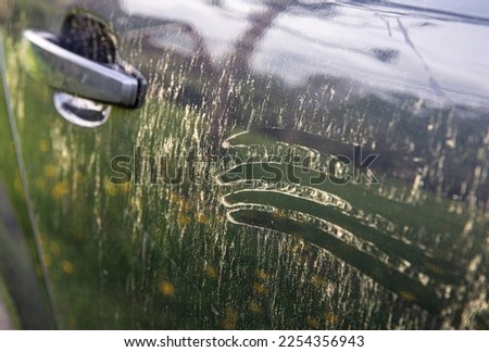 Yellow pollen grains layer on car paint. Trees and flowers pollen covering car exterior in spring, witch can damage your car's paint concept. Royalty-Free Stock Photo #2254356943