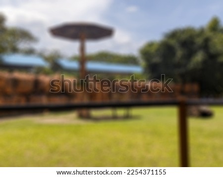 a defocused abstract background of giraffe or Giraffa camelopardalis enclosure with giraffes feeding at the zoo