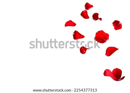 Floating red rose petals isolated on white. Background concept for love greetings on valentines day and mothers day. Space for text.  Royalty-Free Stock Photo #2254377313