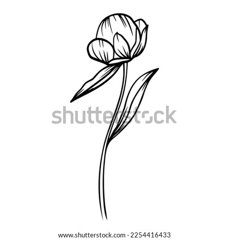 Line art vector clipart with peony flower