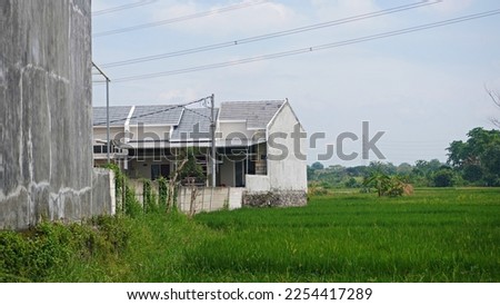 House near the rice paddy field                       