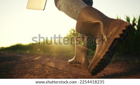 farmer feet walk in corn field. sunset a agriculture corn business concept. farmer close up with digital tablet and dog walk along cornfield at. farm agriculture sun crop concept. worker farmer walk Royalty-Free Stock Photo #2254418235