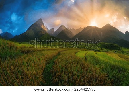 Rice fields on terraced with Mount Fansipan background at sunset in Lao Cai, Northern Vietnam. Fansipan is a mountain in Vietnam, the highest in Indochina. Royalty-Free Stock Photo #2254423993