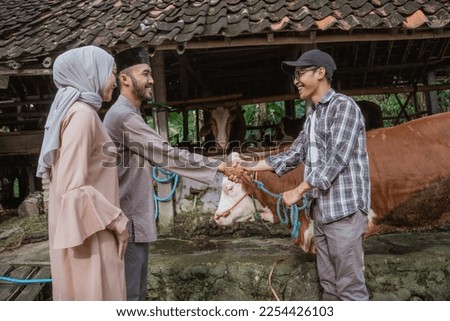 the male farmer holding the cow's bridle at his left hand and hand shake with the moslem man with skullcap that buying his cow for eid al adha Royalty-Free Stock Photo #2254426103
