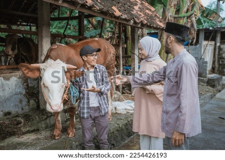 a male farmer pointing on the cow and showing the cow to the moslem man and woman with hijab that standing in front of him Royalty-Free Stock Photo #2254426193