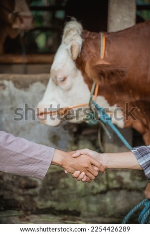the hand of a farmer hand shake with the hand of a moslem man with the cow's stable at the background Royalty-Free Stock Photo #2254426289