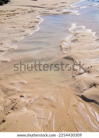 a beach with wet sand and puddle of water in sunshine