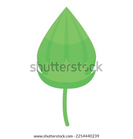 Cotton plant icon isometric vector. Soft fabric. Natural material