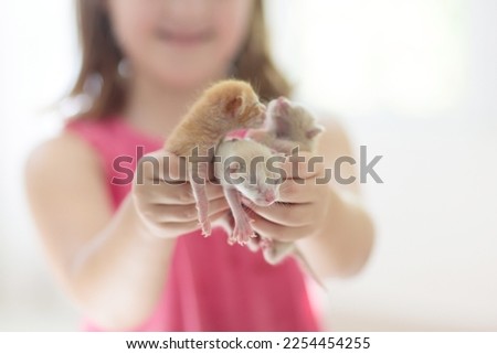 Child holding baby cat. Kids and pets. Little girl hugging cute little kitten at home. Domestic animal in family with kids. Children with pet animals.