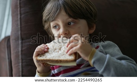Child eating sandwich laying on couch. One little boy eats carb snack bread while watching cartoons