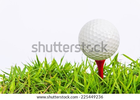 Golf ball on green grass, selective focus 