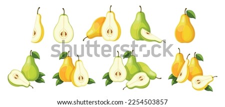 Set of fresh green and yellow pears in cartoon style. Vector illustration of tasty fruits whole and cut, large and small sizes with green leaves isolated on white background. Royalty-Free Stock Photo #2254503857