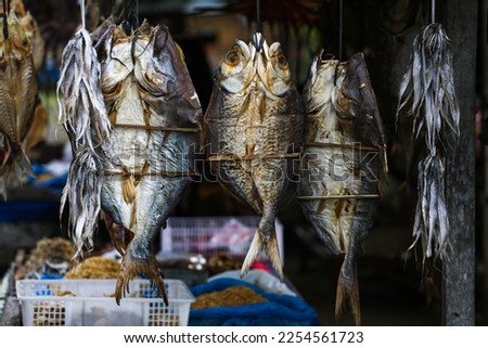 variety of salted and dried seawater fish, picture taken during the day