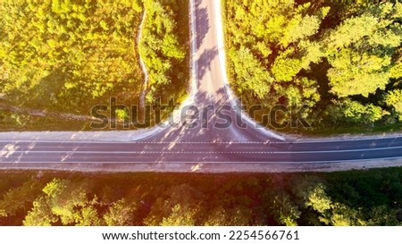 Road in a coniferous forest view from a height, sunlight, concept of travel by car. High quality photo