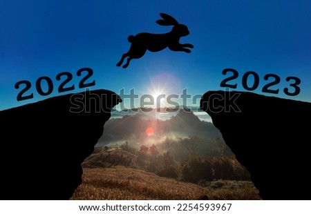 A cute new born rabbit jump between 2022 and 2023 years over the sun and through on the gap of hill silhouette evening colorful sky. happy new year 2023.	