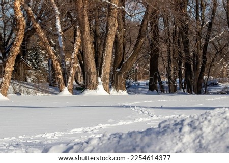 Landscape view of a snow covered lawn with deer tracks after a fresh winter storm on a sunny day, with a tree-lined ravine in the background