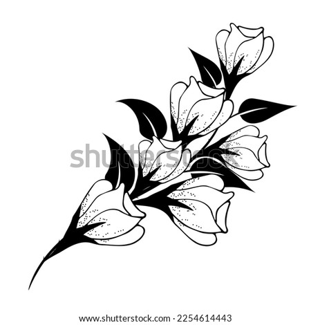Floral composition is delicate, floral background with delicate flowers and branches of buds. Hand drawing. For stylized decor, invitations, cards, posters, flyers, backgrounds, as clipart or coloring