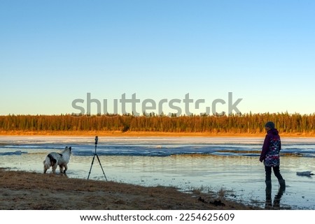 A girl photographer stands in boots in the water of a spring river with ice, smiling, on an ice drift next to a white dog standing on the shore and a phone on a tripod.
