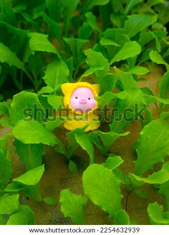 A cheerful smiley plastic pig doll sits on a sponge filled with cos lettuce sprouts.
