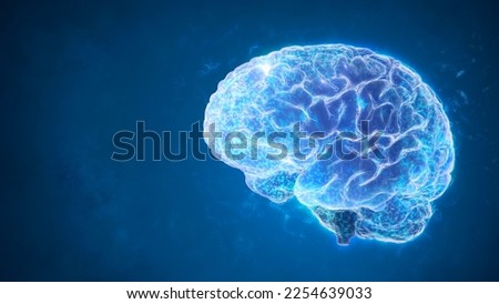 3d rendering of a brain