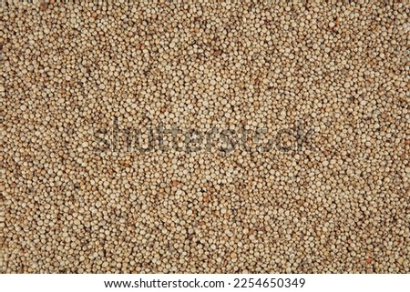 Gluten free Sorghum seeds isolated on white background.   Whole seeds of Sorghum Moench, millet, feed. A Bowl of Sprouted Sorghum and Sorghum Flour on a Bright White Table.
