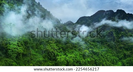 Morning mist on the canopy in the mountains of the rainforest  Royalty-Free Stock Photo #2254656217