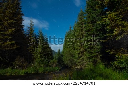 Night photo of Frumoasa river flowing downhill through an alpine grassland and coniferous forests. Clear night in Sureanu Mountains. 
 Royalty-Free Stock Photo #2254714901