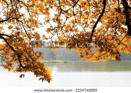 Yellow leaves of freshwater mangrove and Tortoise Tower at Hoan Kiem Lake