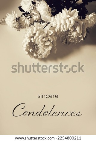 Condolence card with chrysanthemum flowers Royalty-Free Stock Photo #2254800211