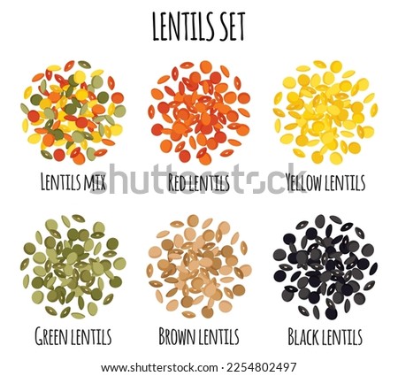 Lentils set with Red, Yellow, Green, Brown and Black lentils. Natural organic food collection. Vector cartoon isolated illustration. Royalty-Free Stock Photo #2254802497