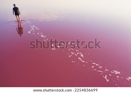 A lonely figure of a man against the background of a huge pink lake. Drone view. The concept of loneliness, alienation, active tourism.