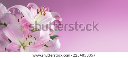 Beautiful lily flowers bouquet on a pink background. Lillies. Pink lilies closeup. Big bunch of fresh fragrant lilies purple background. Border design Royalty-Free Stock Photo #2254853357
