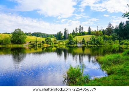 Nature at the Oberer Eschenbacher Teich near Clausthal-Zellerfeld. Landscape at the lake in the Harz Mountains with the surrounding green nature.	 Royalty-Free Stock Photo #2254856579