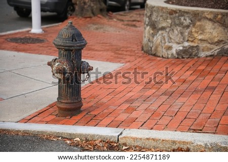 Old Fire Hydrant on the street stone cement sidewalk 