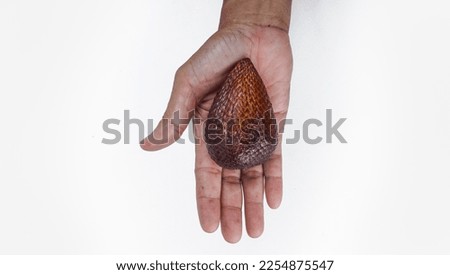 Indonesia's unique fruit, Salak (Snake fruits) hold by hand. Exotic tropical snake fruit.