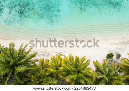 Arial view of heavenly white sand beach in Tahiti Royalty-Free Stock Photo #2254882493