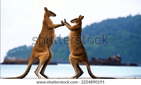 Kangaroo is a typical animal from Australia and can live in parts of Asia
