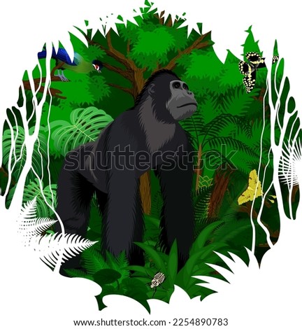Vector sticker - tropical rainforest Jungle with male gorilla, Hartlaub's turaco, Goliath beetle and butterflies