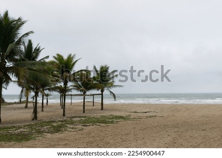 This is a picture of beach in Ecuador