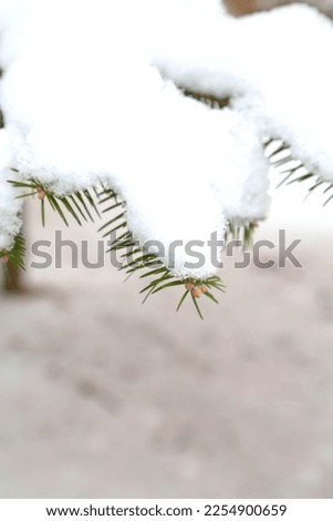 winter white snowy day landscape