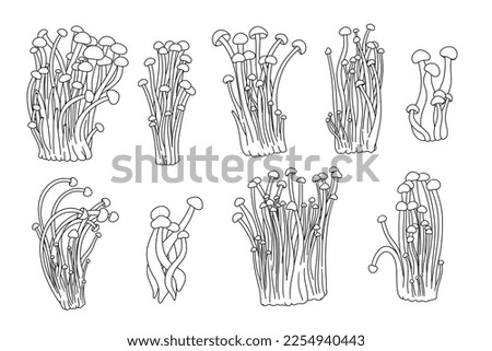 Simple line set of asian food. Enoki mushrooms is gourmet, medical, chinese nutrition. Vector graphic collection about healthy fungus. Royalty-Free Stock Photo #2254940443
