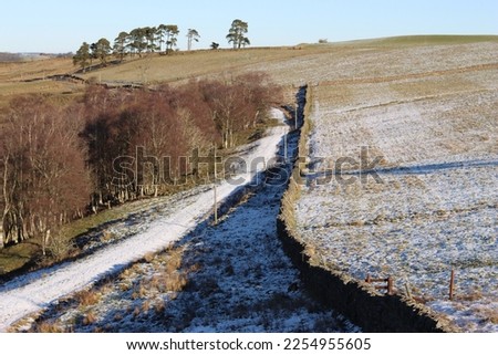 Country path through in winter sunshine and snow winding into the distance