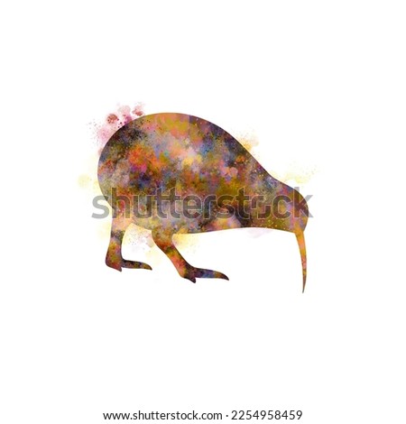 Watercolor Kiwi Bird drawing, silhouette of a Kiwi Bird, Watercolor Kiwi Bird art, Kiwi Bird, Apteryx, ratites
