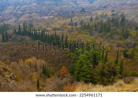 hills with trees in autumn