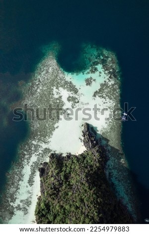 Amazing coral reef formations in Coron (aerial photography)
